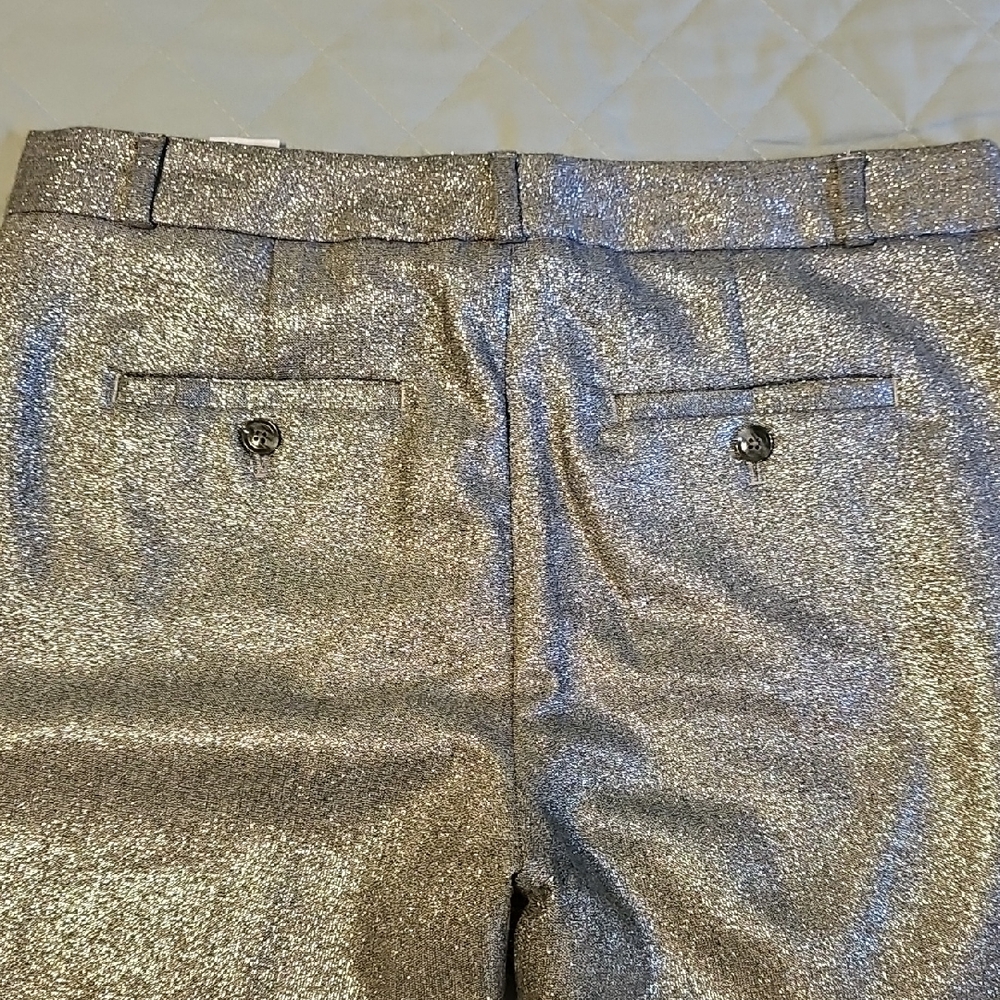 Banana Republic Metallic Silver Pants, Size 8P - Picture 4 of 6